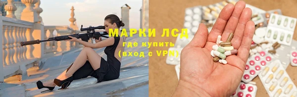 прущие грибы Верхнеуральск