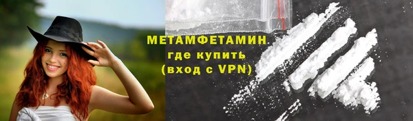 индика Волосово