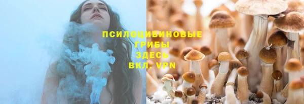 прущие грибы Верхнеуральск