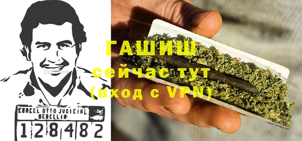 индика Волосово