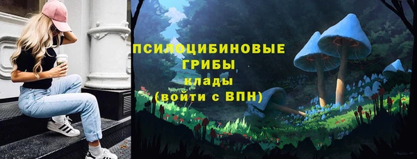 мет Верхний Тагил