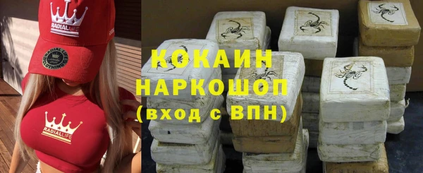 индика Волоколамск