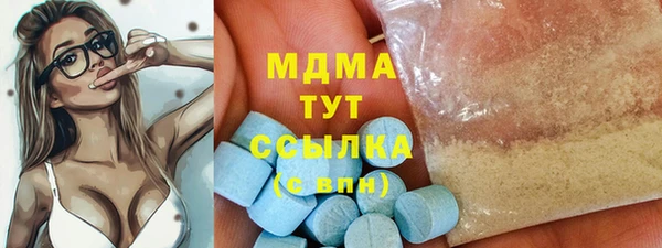 индика Волоколамск