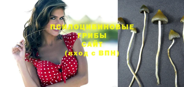 мет Верхний Тагил