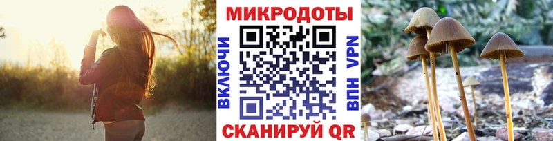 Псилоцибиновые грибы Magic Shrooms  mega ссылки  Кедровый 