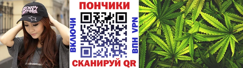 Бошки марихуана сатива  Кедровый 